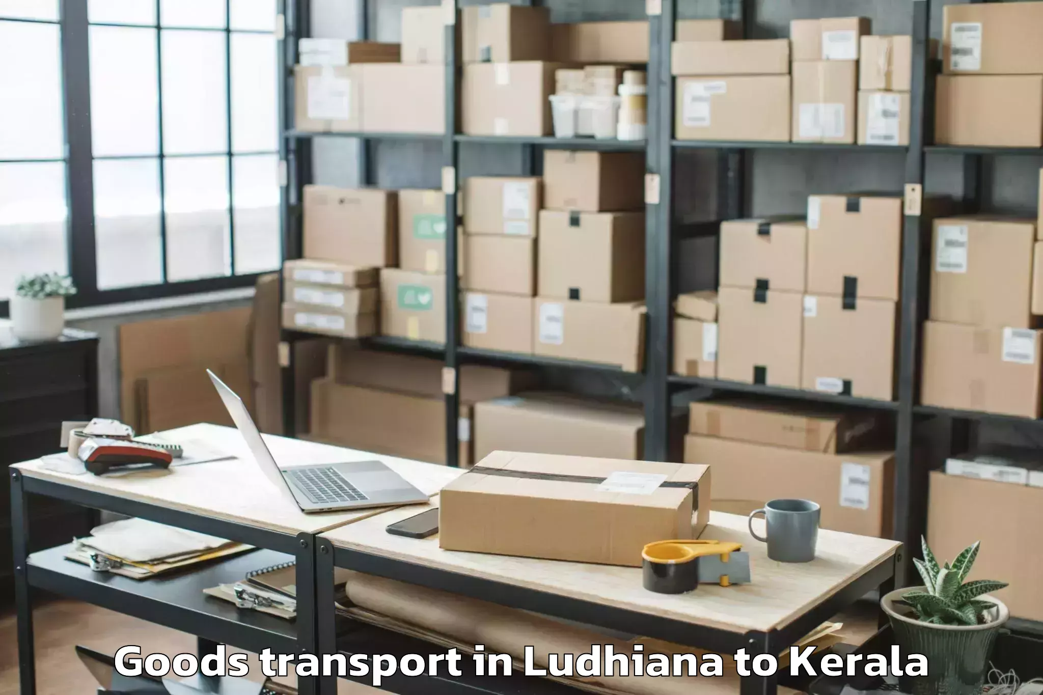 Book Ludhiana to Selex Mall Thrissur Goods Transport Online